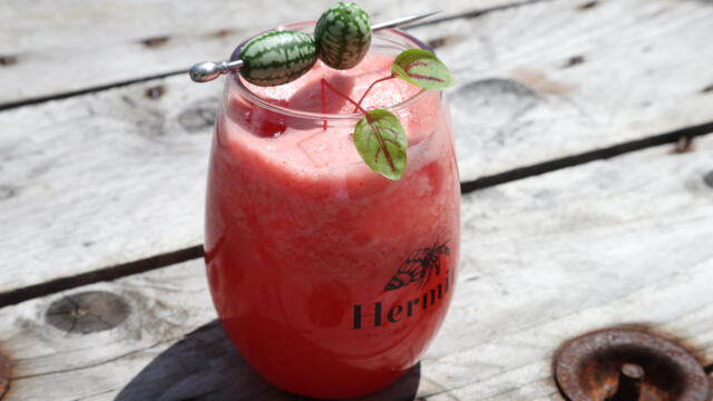 Gin - Watermelon Splash - Pepquino - Vene Cress