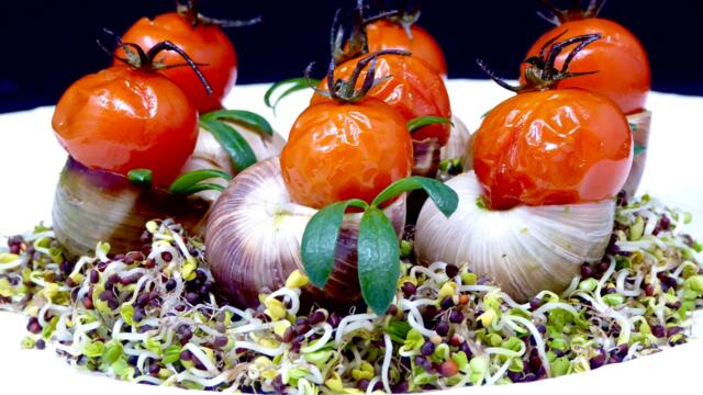 Snails with Sea Fennel butter and cherry tomatoes