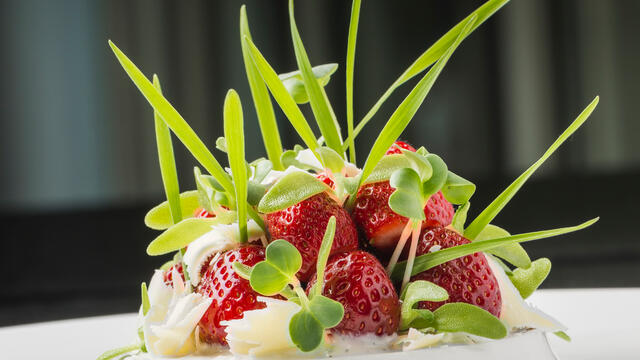 Wilde aardbeien, crème van yoghurt en vanille met Wheat Grass, Honny Cress en Daikon Cress