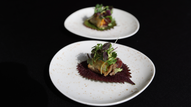 Springrol met Shiso Leaves Bicolor en Tokyo Taste