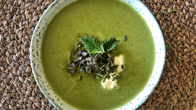 Nettle soup with Red Mustard Cress