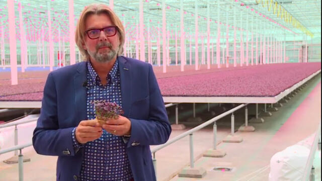 Koppert Cress te gast bij RTL Doe Maar Duurzaam