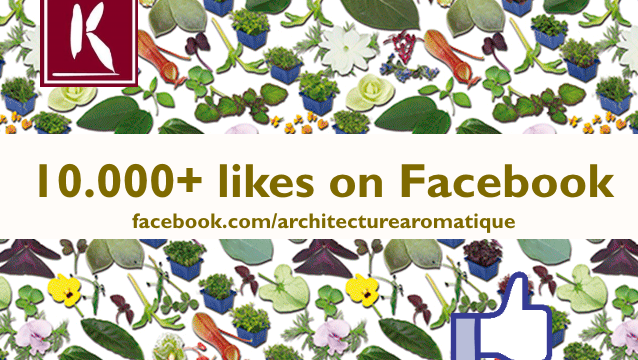 Mijlpaal: 10.000 Koppert Cress Fans op Facebook