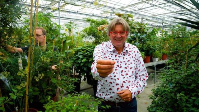 De buik van Rotterdam: Rob Baans Powercress