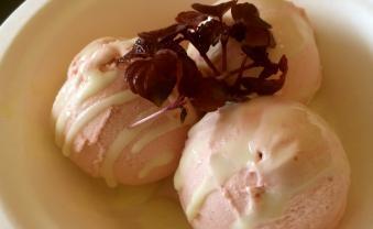 Plum Ice Cream with Wasabi and Shiso