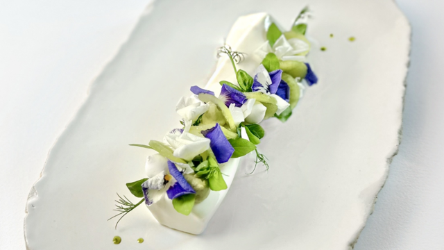 Kiwi-cheesecake Entremet Dessert