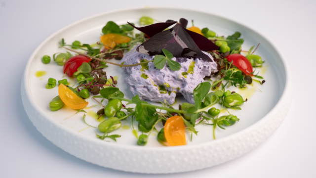 Spring Salad with Red Cabbage Yka Leaves Foam