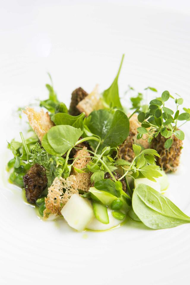 Dried morel, asparagus, pea, parsley