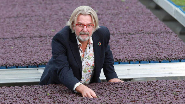 Koppert Cress, from the greenhouse to the plate