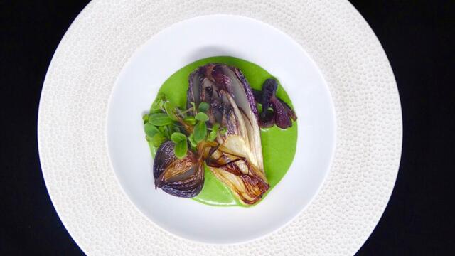 Roasted Chicory with a creamy spinach sauce