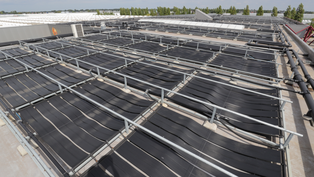 Koppert Cress' ENERGYROOF