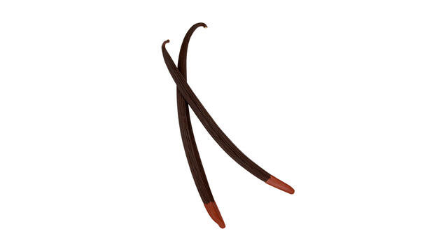 Planifolia Red - Vanilla
