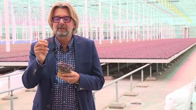 Rob Baan bij RTL7 - ''Deze kas is gebouwd op complete duurzaamheid''