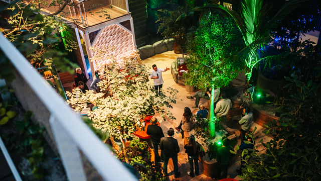 Koppert Cress opent De Eetbare Jungle – een interactieve proeftuin waar de toekomst van voedsel tot leven komt