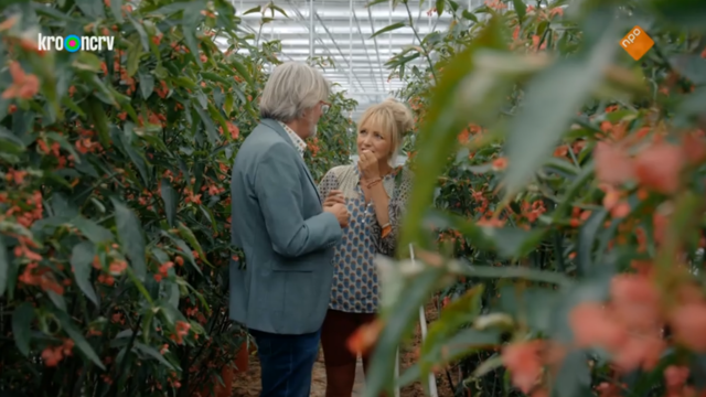 Onze Boerderij (NPO) te gast bij Koppert Cress