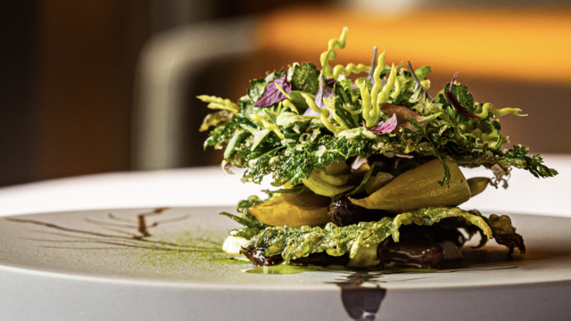 Shiso, chicory, turmeric, green olive, morilla, and Boeren Goudse cheese