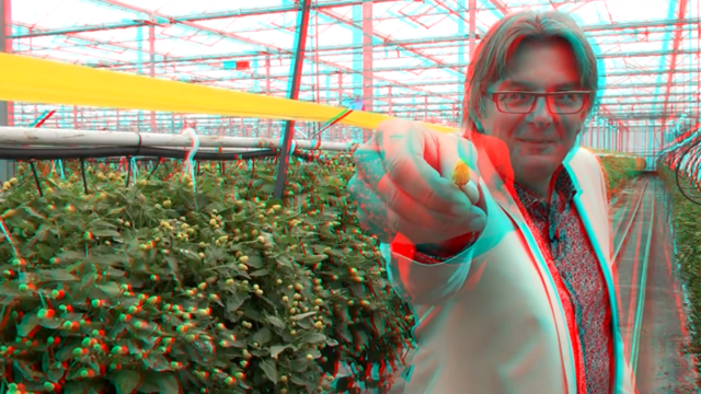 4D proeven met Koppert Cress