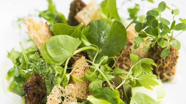 Dried morels, asparagus, pea, parsley