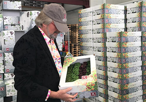 Koppert Cress launches new, colourful packaging line