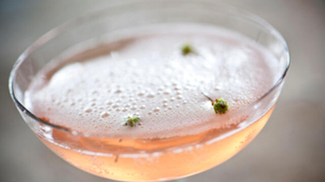 The Dushi Button – a cress in a cocktail
