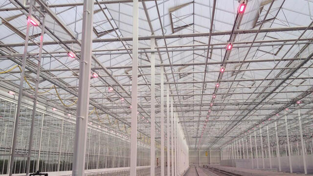 New LED lights, step towards sustainable cultivation