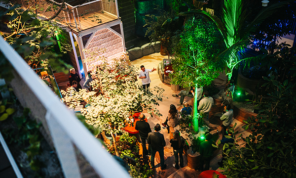 Koppert Cress opens: The Edible Jungle – an expedition where the future of food comes alive