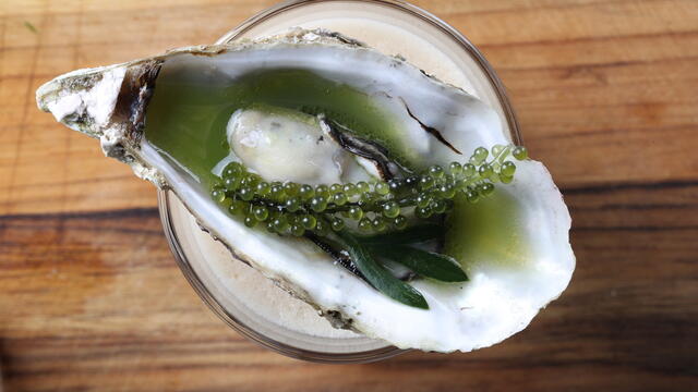 Steamed oysters on seaweed with salty coffee cocktail